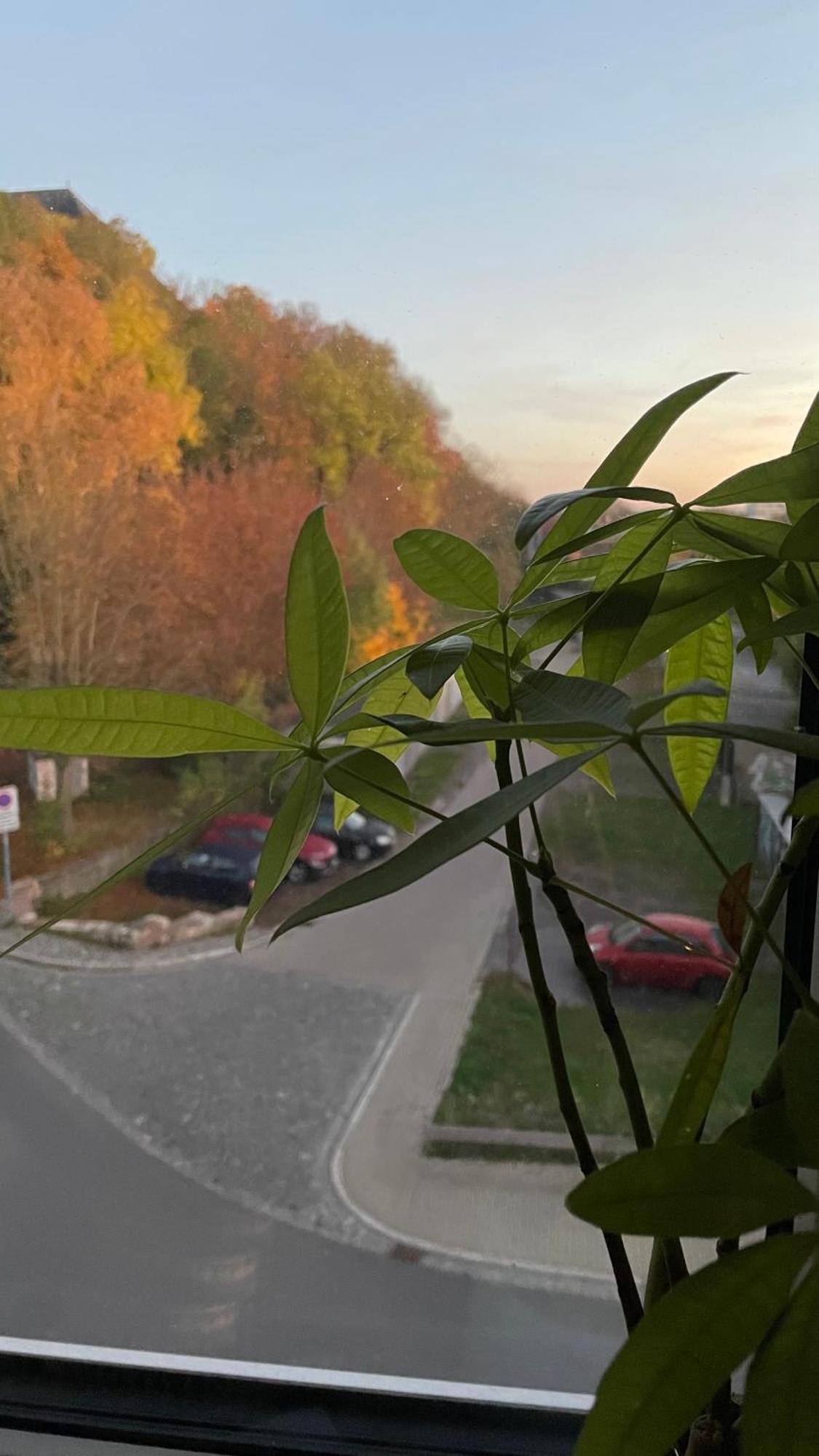 Neu! Oasis - Fewo Am Harz, Hochwertig Kernsaniert, 83 Qm, Eg Nordhausen Exterior foto